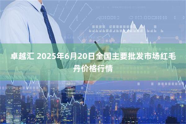 卓越汇 2025年6月20日全国主要批发市场红毛丹价格行情