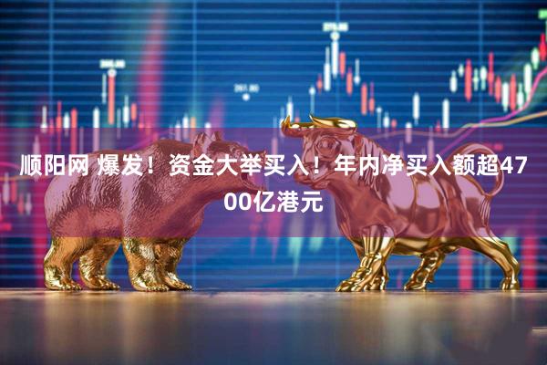 顺阳网 爆发！资金大举买入！年内净买入额超4700亿港元