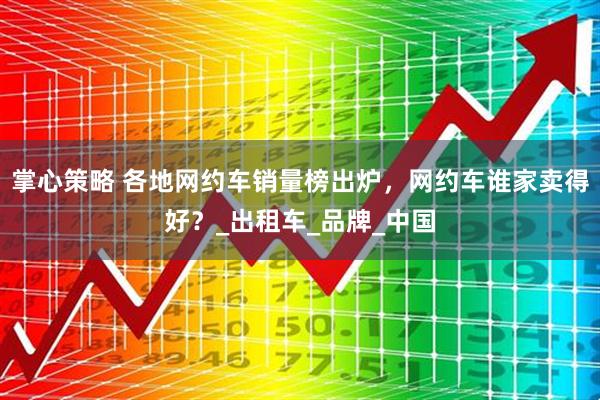 掌心策略 各地网约车销量榜出炉，网约车谁家卖得好？_出租车_品牌_中国