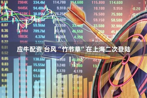 应牛配资 台风“竹节草”在上海二次登陆