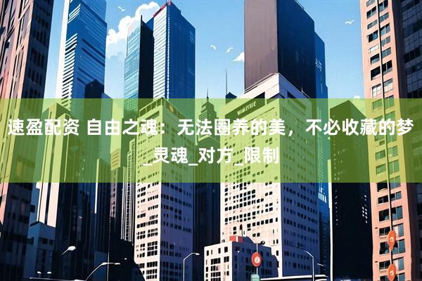 速盈配资 自由之魂：无法圈养的美，不必收藏的梦_灵魂_对方_限制