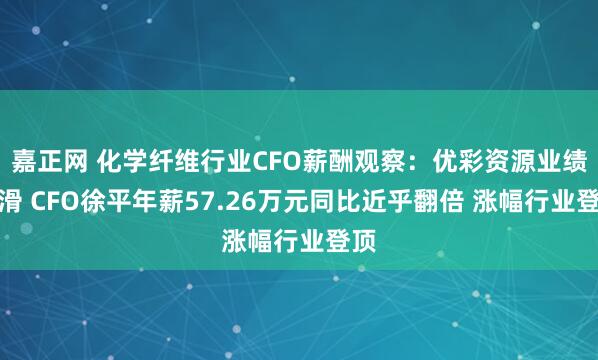 嘉正网 化学纤维行业CFO薪酬观察：优彩资源业绩下滑 CFO徐平年薪57.26万元同比近乎翻倍 涨幅行业登顶