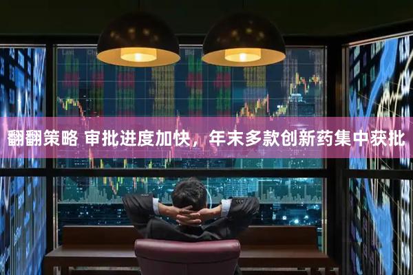 翻翻策略 审批进度加快，年末多款创新药集中获批