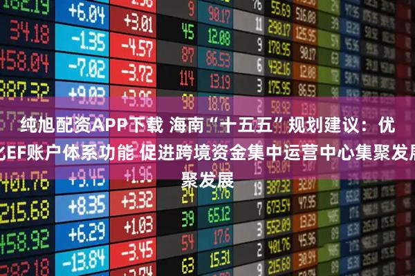 纯旭配资APP下载 海南“十五五”规划建议：优化EF账户体系功能 促进跨境资金集中运营中心集聚发展