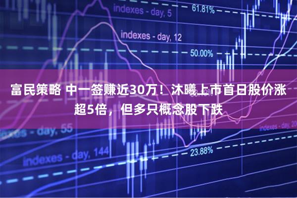 富民策略 中一签赚近30万！沐曦上市首日股价涨超5倍，但多只概念股下跌
